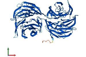 AlphaFold protein structure predicition of Mouse Recombinant Cfap52 Protein, UniprotID Q5F201