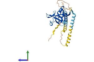 AlphaFold protein structure predicition of Mouse Recombinant Klra7 Protein, UniprotID Q60654