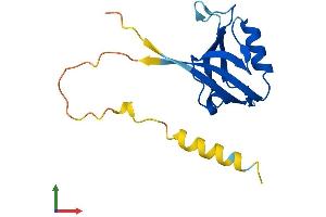AlphaFold protein structure predicition of Human Recombinant SYNJ2BP Protein, UniprotID P57105