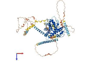 AlphaFold protein structure predicition of Human Recombinant DTNA Protein, UniprotID Q9Y4J8
