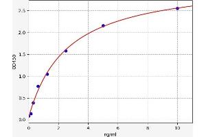 Typical standard curve