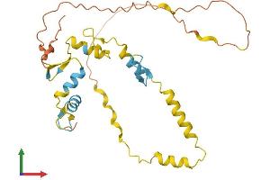 AlphaFold protein structure predicition of Human Recombinant SNAI1 Protein, UniprotID O95863