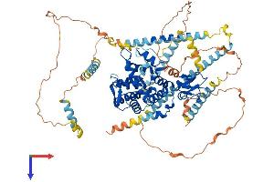 AlphaFold protein structure predicition of Mouse Recombinant Dtna Protein, UniprotID Q9D2N4