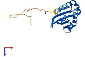 AlphaFold protein structure predicition of Mouse Recombinant Scp2d1 Protein, UniprotID Q9DAH1