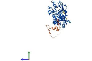 AlphaFold protein structure predicition of Mouse Recombinant Fut7 Protein, UniprotID Q11131