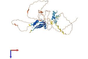 AlphaFold protein structure predicition of Human Recombinant ZBTB32 Protein, UniprotID Q9Y2Y4