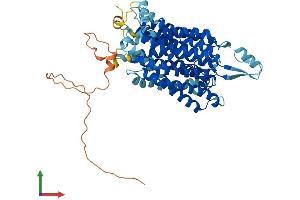 AlphaFold protein structure predicition of Mouse Recombinant Slc33a1 Protein, UniprotID Q99J27