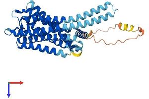 AlphaFold protein structure predicition of Human Recombinant GPR78 Protein, UniprotID Q96P69