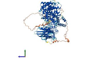 AlphaFold protein structure predicition of Mouse Recombinant Ap2a1 Protein, UniprotID P17426