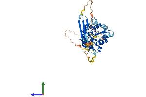AlphaFold protein structure predicition of Mouse Recombinant Abhd8 Protein, UniprotID Q8R0P8