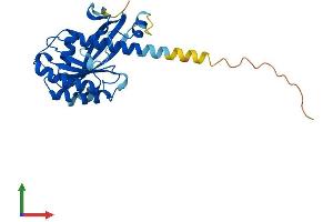 AlphaFold protein structure predicition of Mouse Recombinant Rab34 Protein, UniprotID Q64008