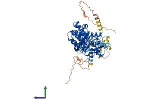 AlphaFold protein structure predicition of Mouse Recombinant Mutyh Protein, UniprotID Q99P21
