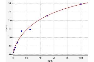 Typical standard curve (S100A11 Kit ELISA)