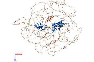 AlphaFold protein structure predicition of Human Recombinant NFAT5 Protein, UniprotID O94916