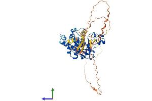 AlphaFold protein structure predicition of Mouse Recombinant Kmt5c Protein, UniprotID Q6Q783
