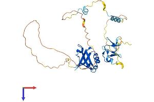 AlphaFold protein structure predicition of Mouse Recombinant Pdlim4 Protein, UniprotID P70271