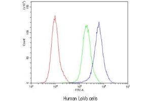 Flow cytometry testing of human LoVo cells with Bestrophin 1 antibody at 1ug/10^6 cells (blocked with goat sera)