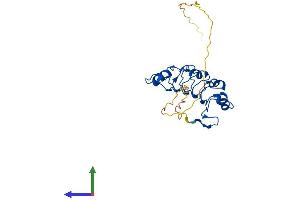AlphaFold protein structure predicition of Mouse Recombinant Anp32a Protein, UniprotID O35381