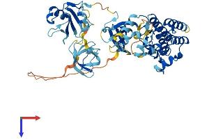 AlphaFold protein structure predicition of Mouse Recombinant Srms Protein, UniprotID Q62270
