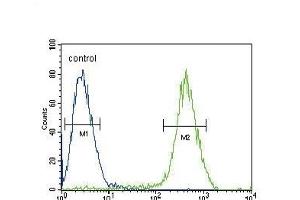 CB2 Antibody (C-term) (ABIN654631 and ABIN2844327) flow cytometric analysis of Jurkat cells (right histogram) compared to a negative control cell (left histogram). (CNR2 anticorps  (C-Term))