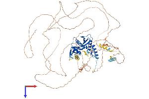 AlphaFold protein structure predicition of Human Recombinant ESCO1 Protein, UniprotID Q5FWF5