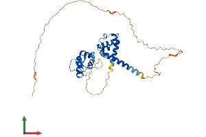 AlphaFold protein structure predicition of Human Recombinant SPDEF Protein, UniprotID O95238