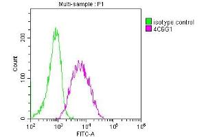 Overlay histogram showing Raji cells stained with ABIN7147134 (red line) at 1:50.