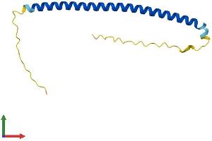 AlphaFold protein structure predicition of Mouse Recombinant Batf Protein, UniprotID O35284