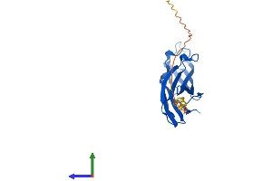 AlphaFold protein structure predicition of Human Recombinant ASF1A Protein, UniprotID Q9Y294