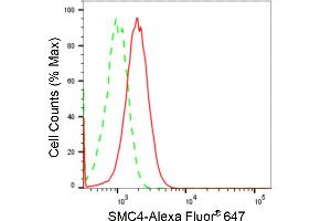 Flow cytometric analysis of SMC4 expression in HT- cells using SMC4 antibody (ABIN7800449), 1:2,000). (Recombinant SMC4 anticorps)