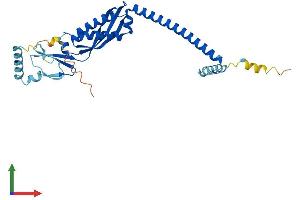 AlphaFold protein structure predicition of Human Recombinant STOM Protein, UniprotID P27105