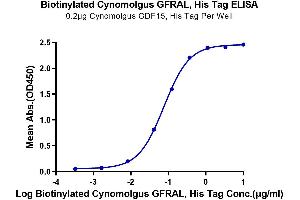 Immobilized Cynomolgus GDF15, His Tag at 2 μg/mL (100 μL/well) on the plate.