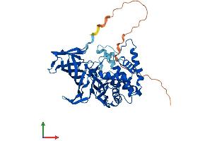 AlphaFold protein structure predicition of Human Recombinant NPEPPSL1 Protein, UniprotID A6NEC2