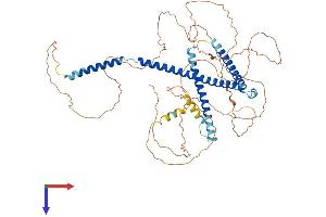 AlphaFold protein structure predicition of Mouse Recombinant Nup58 Protein, UniprotID Q8R332