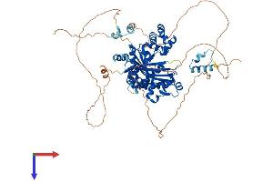 AlphaFold protein structure predicition of Mouse Recombinant Poli Protein, UniprotID Q6R3M4
