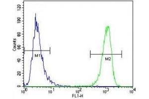 MUC20 antibody flow cytometric analysis of WiDr cells (right histogram) compared to a negative control cell (left histogram).