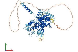 AlphaFold protein structure predicition of Mouse Recombinant Micu1 Protein, UniprotID Q8VCX5