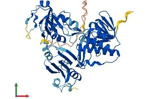 AlphaFold protein structure predicition of Mouse Recombinant Pyroxd1 Protein, UniprotID Q3TMV7