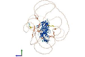 AlphaFold protein structure predicition of Human Recombinant PTPN22 Protein, UniprotID Q9Y2R2