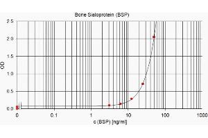 anti-CD BSP (Tumor BSP) (AA 108-122) antibody