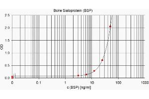 ELISA standard curve showing measurement of human BSP in a sandwich immunoassay using ABIN2753226 as capture antibody and ABIN2753226 as detection antibody. (CD BSP (Tumor BSP) (AA 108-122) anticorps)