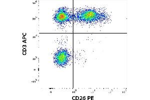 Flow cytometry multicolor surface staining of human lymphocytes stained using anti-human CD26 (BA5b) PE antibody (20 μL reagent / 100 μL of peripheral whole blood) and anti-human CD3 (UCHT1) APC antibody (10 μL reagent per milion cells in 100 μL of cell suspension).