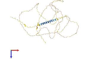 Hemogen (HEMGN) (AA 1-503) protein (His tag)