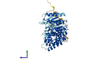 AlphaFold protein structure predicition of Human Recombinant PRAMEF6 Protein, UniprotID Q5VXH4