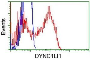 HEK293T cells transfected with either RC222010 overexpress plasmid (Red) or empty vector control plasmid (Blue) were immunostained by anti-DYNC1LI1 antibody (ABIN2452966), and then analyzed by flow cytometry. (DYNC1LI1 anticorps)