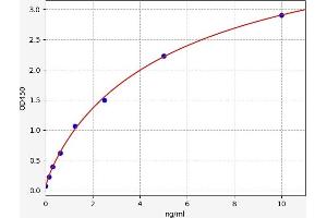 Typical standard curve (ADAM12 Kit ELISA)