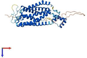 AlphaFold protein structure predicition of Human Recombinant CERS5 Protein, UniprotID Q8N5B7