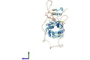 AlphaFold protein structure predicition of Human Recombinant ZNF132 Protein, UniprotID P52740
