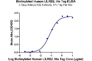Immobilized Anti-LILRB2 Antibody, hFc Tag at 0.