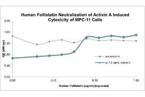 SDS-PAGE of Human Follistatin Recombinant Protein Bioactivity of Human Follistatin Recombinant Protein.